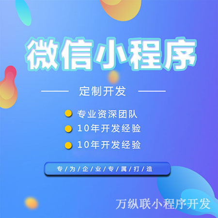 專業(yè)的小程序開發(fā)(專業(yè)的小程序開發(fā)外包公司有哪些)