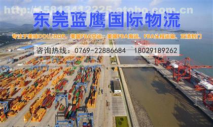 貨運代理東莞網(wǎng)站建設(貨運代理東莞網(wǎng)站建設項目)