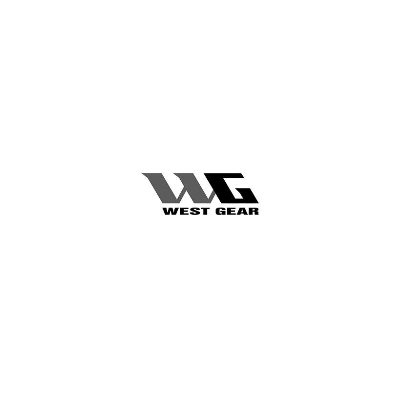 WG網(wǎng)站建設(shè)(網(wǎng)站建設(shè)制作石家莊)