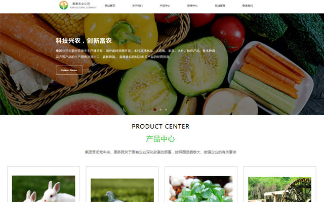 黃石網(wǎng)站建設產(chǎn)品(黃石網(wǎng)站建設公司百科)