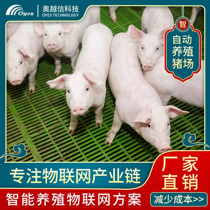 新聞養(yǎng)豬互聯(lián)網(wǎng)(新聞養(yǎng)豬互聯(lián)網(wǎng)平臺(tái))