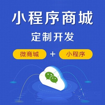 中山小程序開發公司(中山市小程序開發公司)