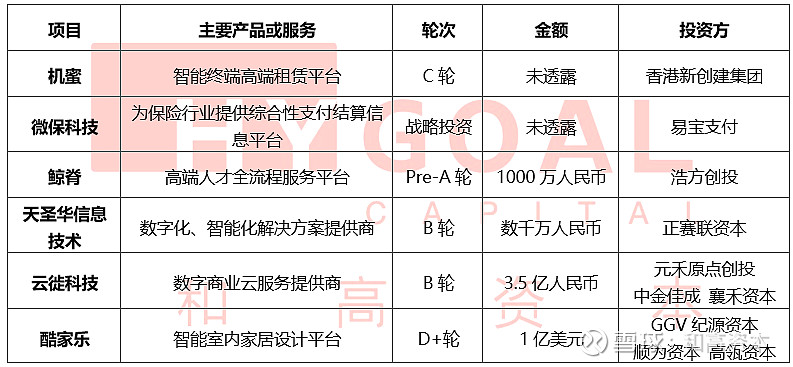 互聯網四強最新消息(互聯網四強最新消息是什么)