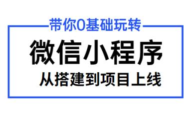 專業(yè)的微信小程序開發(fā)價格的簡單介紹