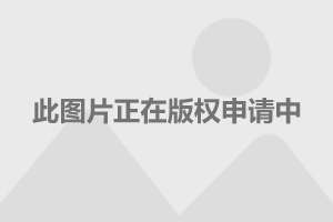 互聯網公司汽車新聞稿件(互聯網公司汽車新聞稿件怎么寫)