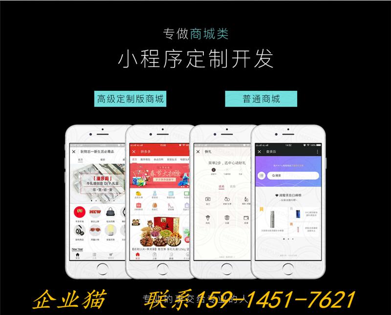 廣安小程序開發訂制(廣安小程序開發訂制廠家)