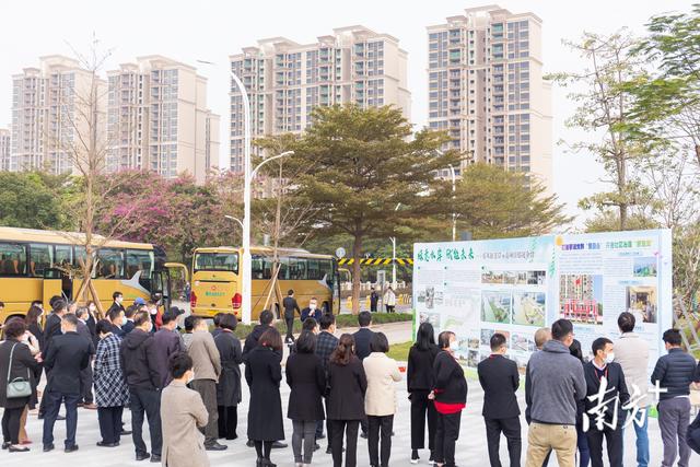龍江樂從網站建設(樂從龍江屬于哪個城市)