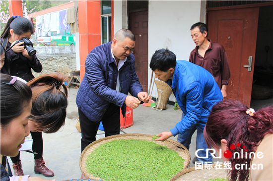 茶葉的互聯網新聞(茶葉網絡市場分析報告)