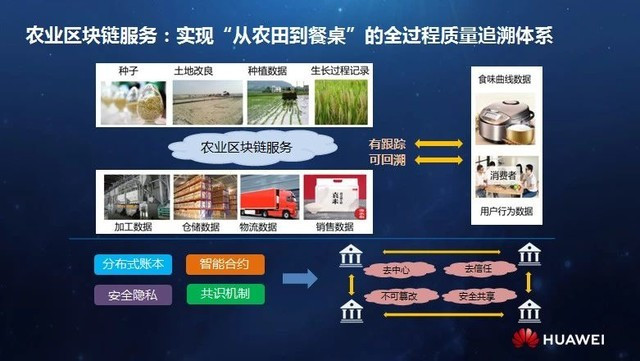 互聯(lián)網(wǎng)農(nóng)業(yè)最新新聞(互聯(lián)網(wǎng)農(nóng)業(yè)是什么意思)