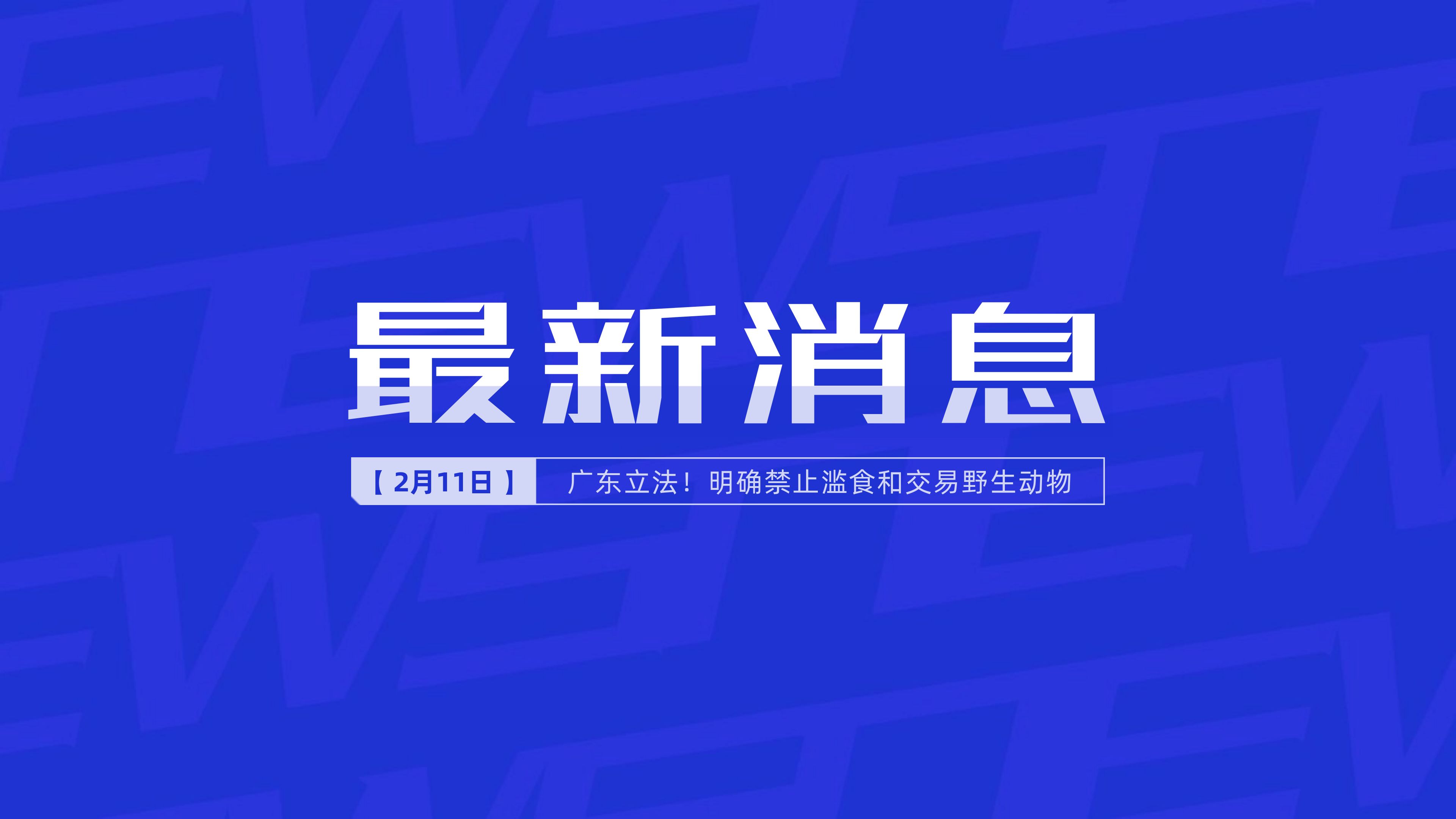 互聯網新新聞信息(互聯網新新聞信息服務)