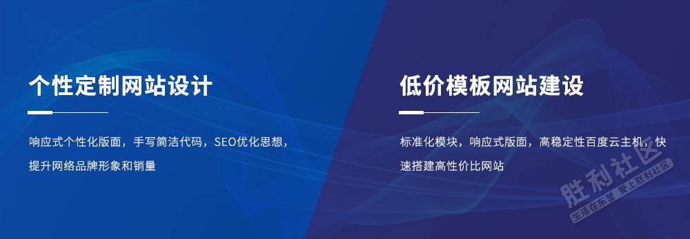 東營網站建設收益(東營網站建設收益情況)