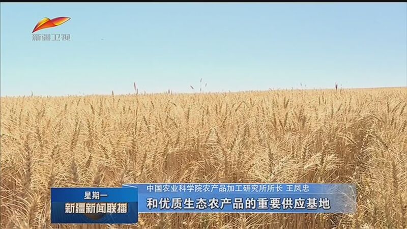 隴西縣建設新聞聯播網站(隴西新聞2020最新消息)