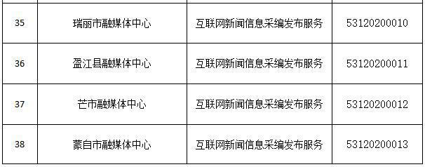 互聯(lián)網(wǎng)新聞信息服務(wù)總負(fù)責(zé)(互聯(lián)網(wǎng)新聞信息服務(wù)單位內(nèi)容管理)