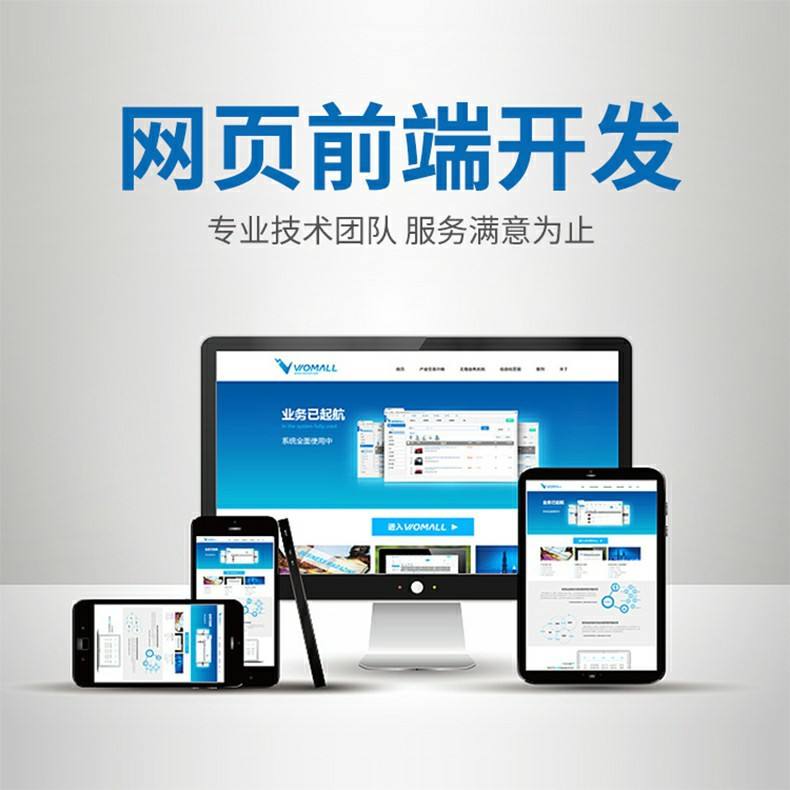 網站小程序開發服務企業(網站小程序開發服務企業是什么)