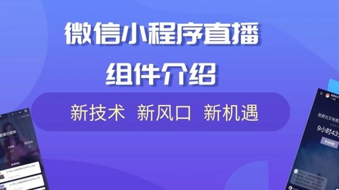 小程序開發視頻全部(小程序開發視頻全部流程)