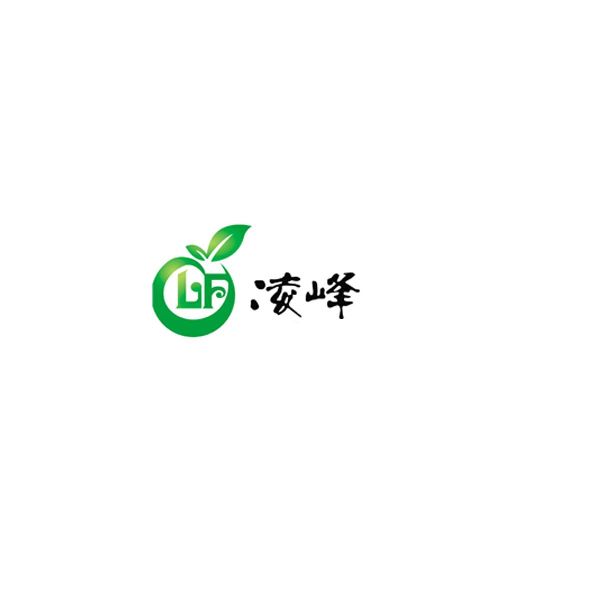 濟南網站建設找凌峰(濟南網站建設方案開發)