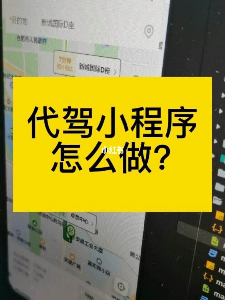 代駕小程序開發說明(代駕小程序開發說明怎么寫)
