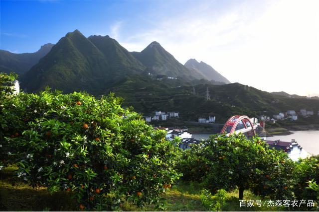 秭歸宜昌網(wǎng)站建設(shè)(秭歸政府門(mén)戶(hù)網(wǎng)公告)