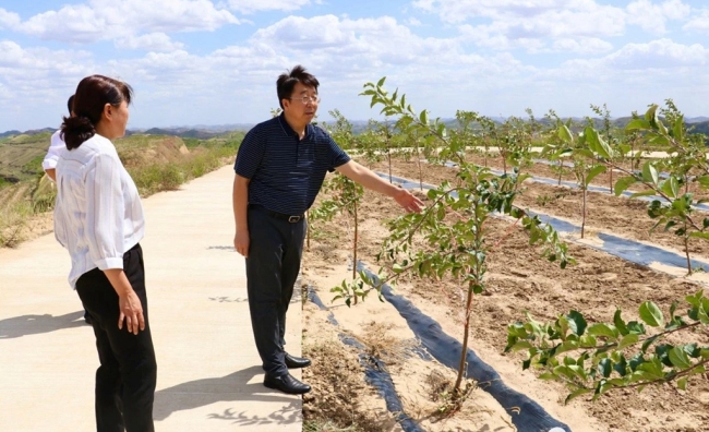子洲網站建設維護(子洲2021年工程項目)