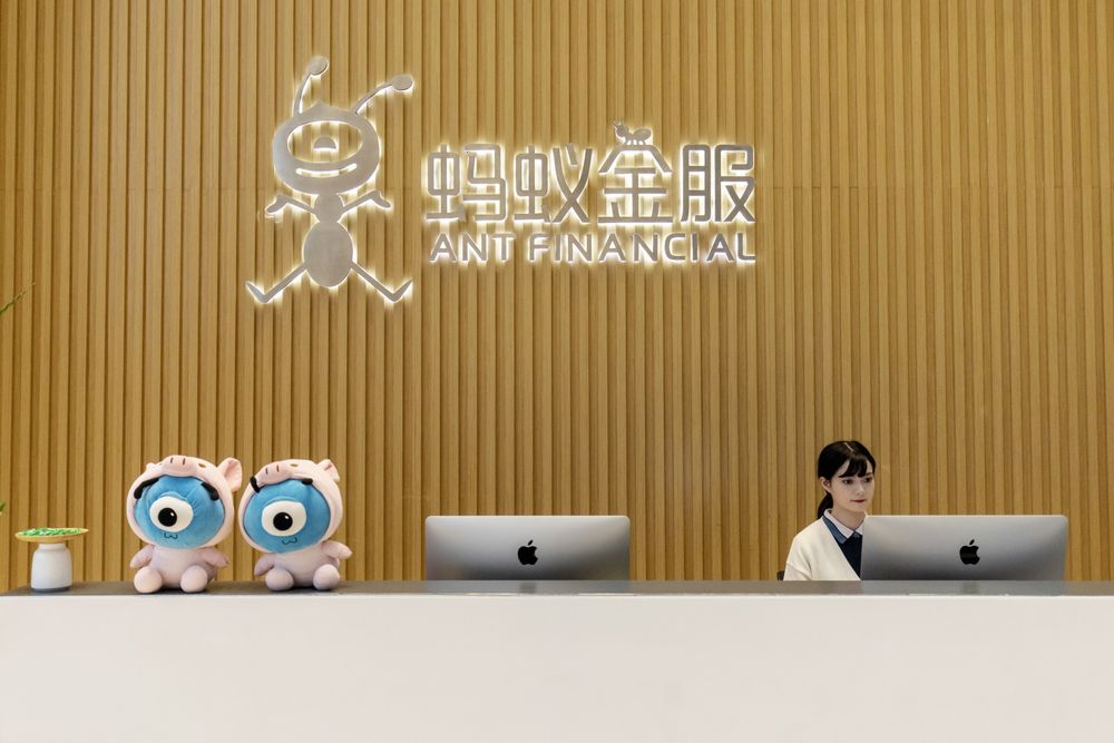 互聯(lián)網(wǎng)螞蟻金服最新消息(互聯(lián)網(wǎng)螞蟻金服最新消息今天)