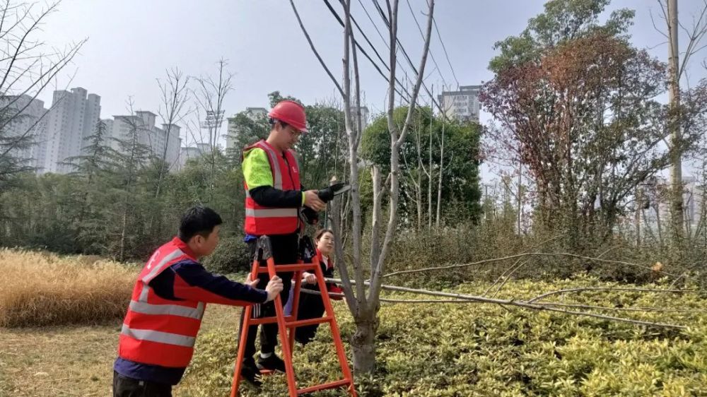 卓瑪泉互聯網新聞(卓瑪泉官方會員中心)