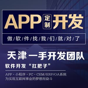 天津電子小程序開發(fā)定制(天津電子小程序開發(fā)定制產(chǎn)品)