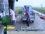 潛江互聯網新聞(潛江新聞網資訊網)