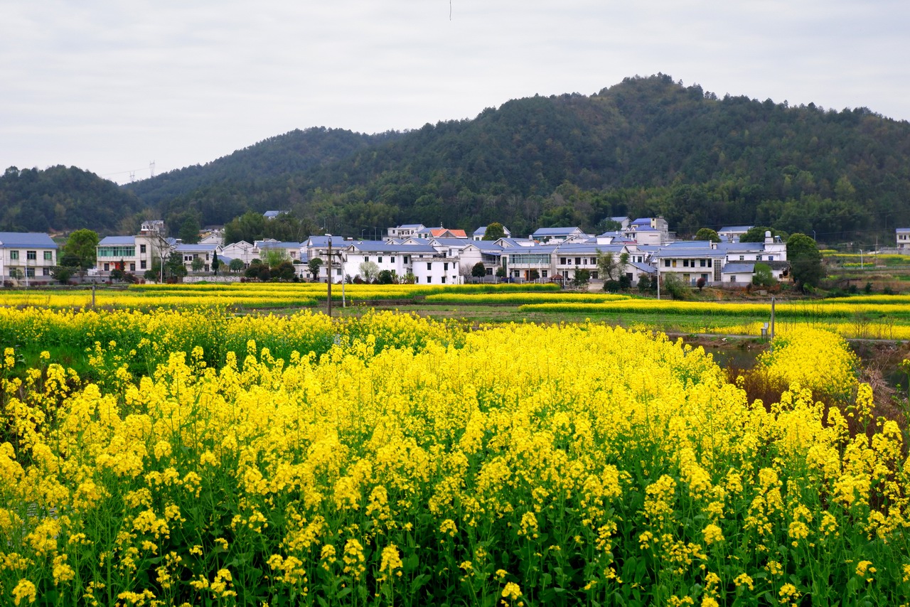 湘潭韶山企業網站建設建設的簡單介紹