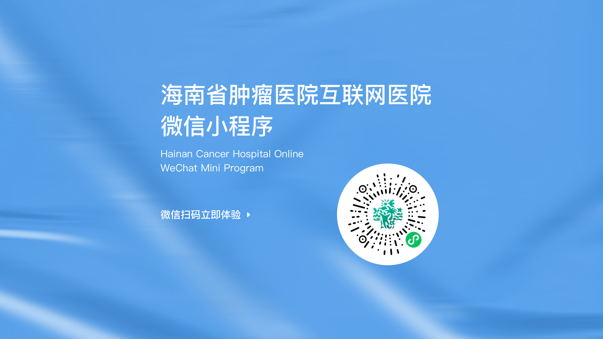 海口電子小程序開發服務(海口電子小程序開發服務公司)