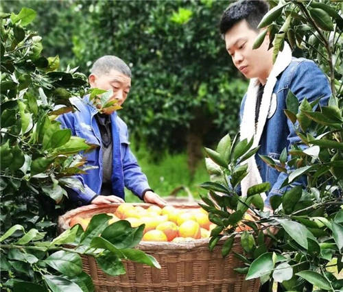 互聯(lián)網(wǎng)社會(huì)扶貧新聞稿(互聯(lián)網(wǎng)+扶貧宣傳稿范文)