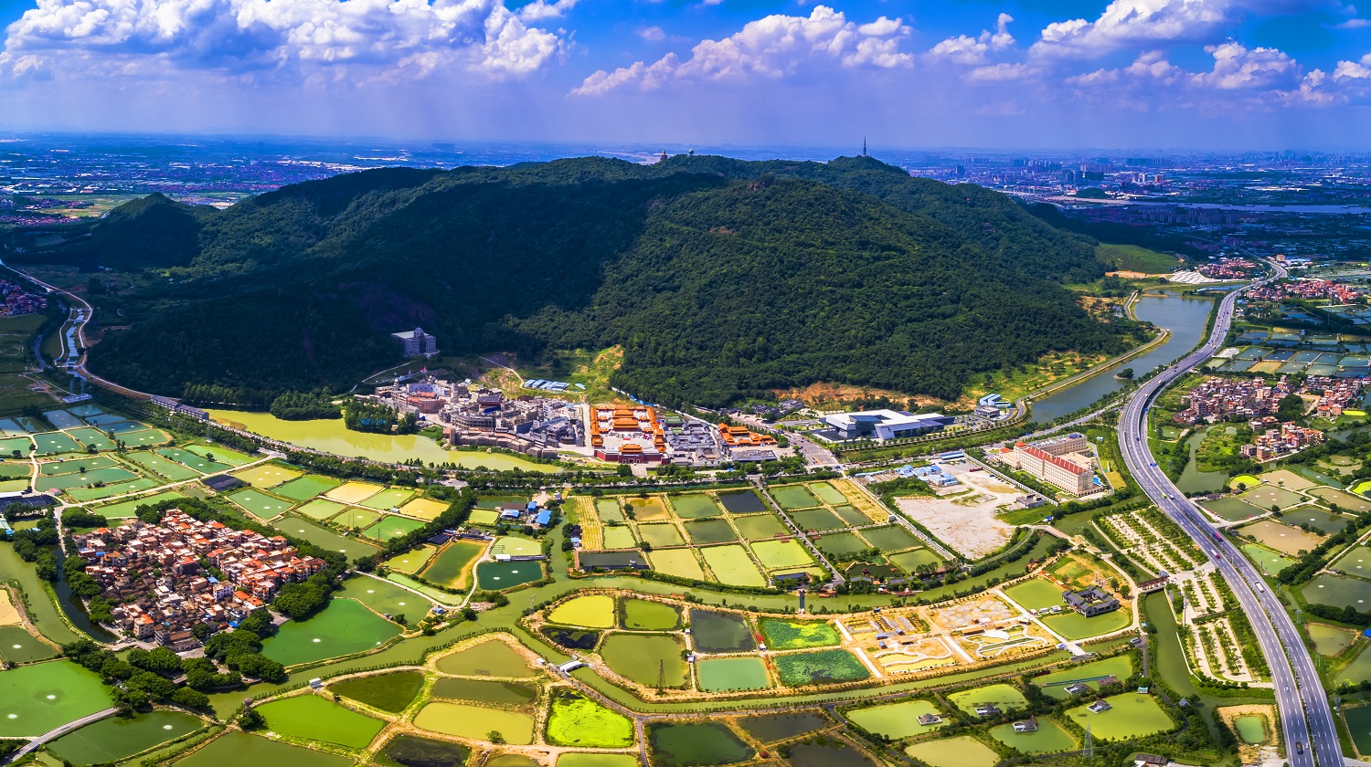 西樵大瀝網(wǎng)站建設(shè)新聞(西樵去大瀝車站坐幾路公交車)